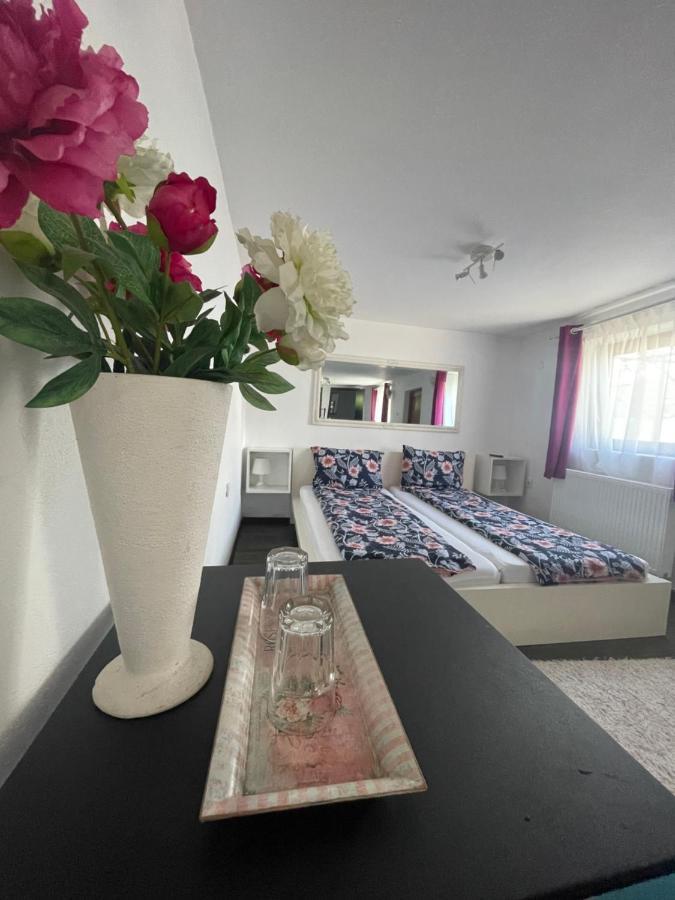 Casa De Sub Deal Densus Exteriér fotografie